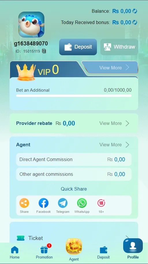 profile page of 9377 win game showing different settings